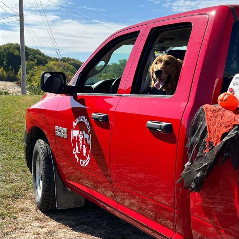 310220372 515149123952853 5278807446813132595 n 768x768