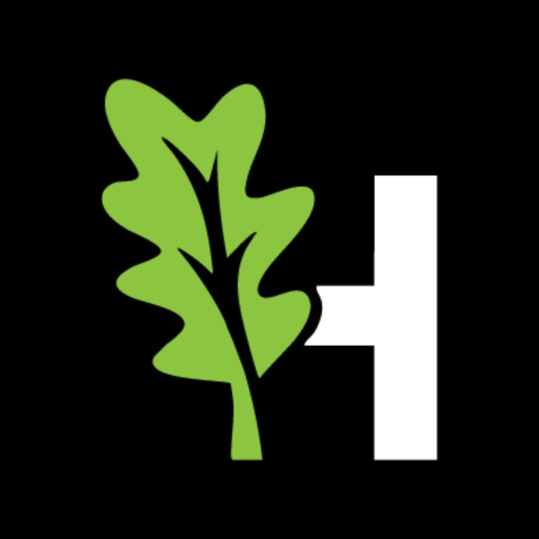 480743918 685446204054939 1325955506009820351 n 768x768